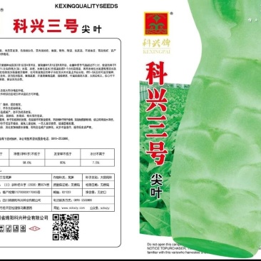 【尖叶白皮莴笋种子】种植户大田莴苣蔬菜籽二白皮莴笋种子
