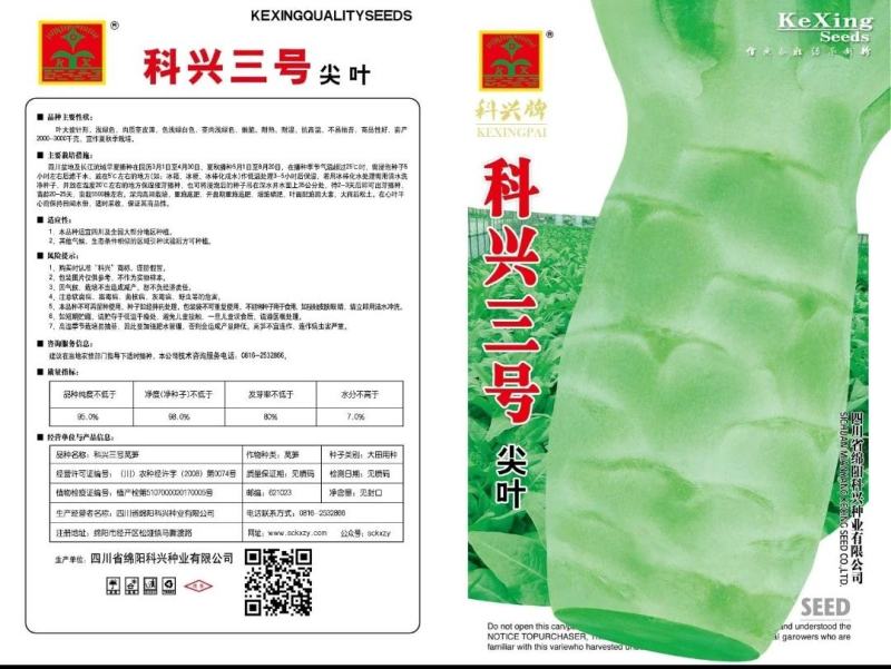 【尖叶白皮莴笋种子】种植户大田莴苣蔬菜籽二白皮莴笋种子