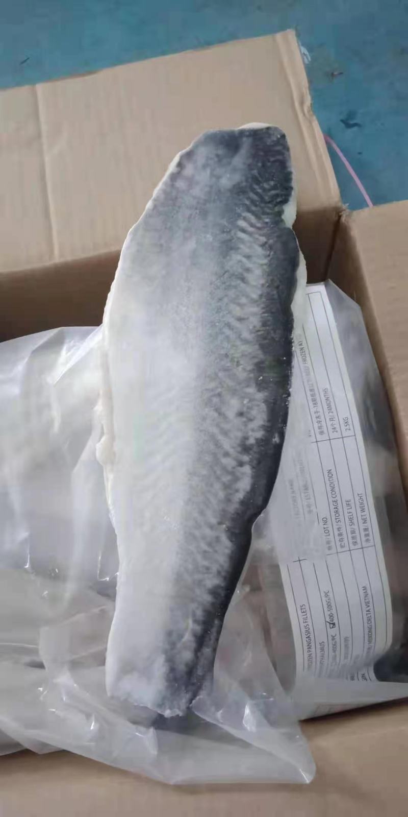 巴沙鱼广西南宁巴沙鱼证件齐全物美价廉