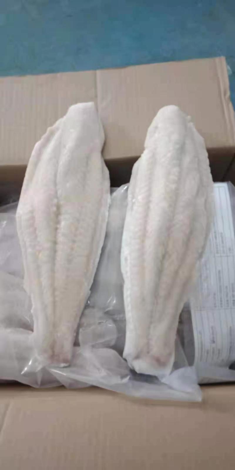 巴沙鱼广西南宁巴沙鱼证件齐全物美价廉