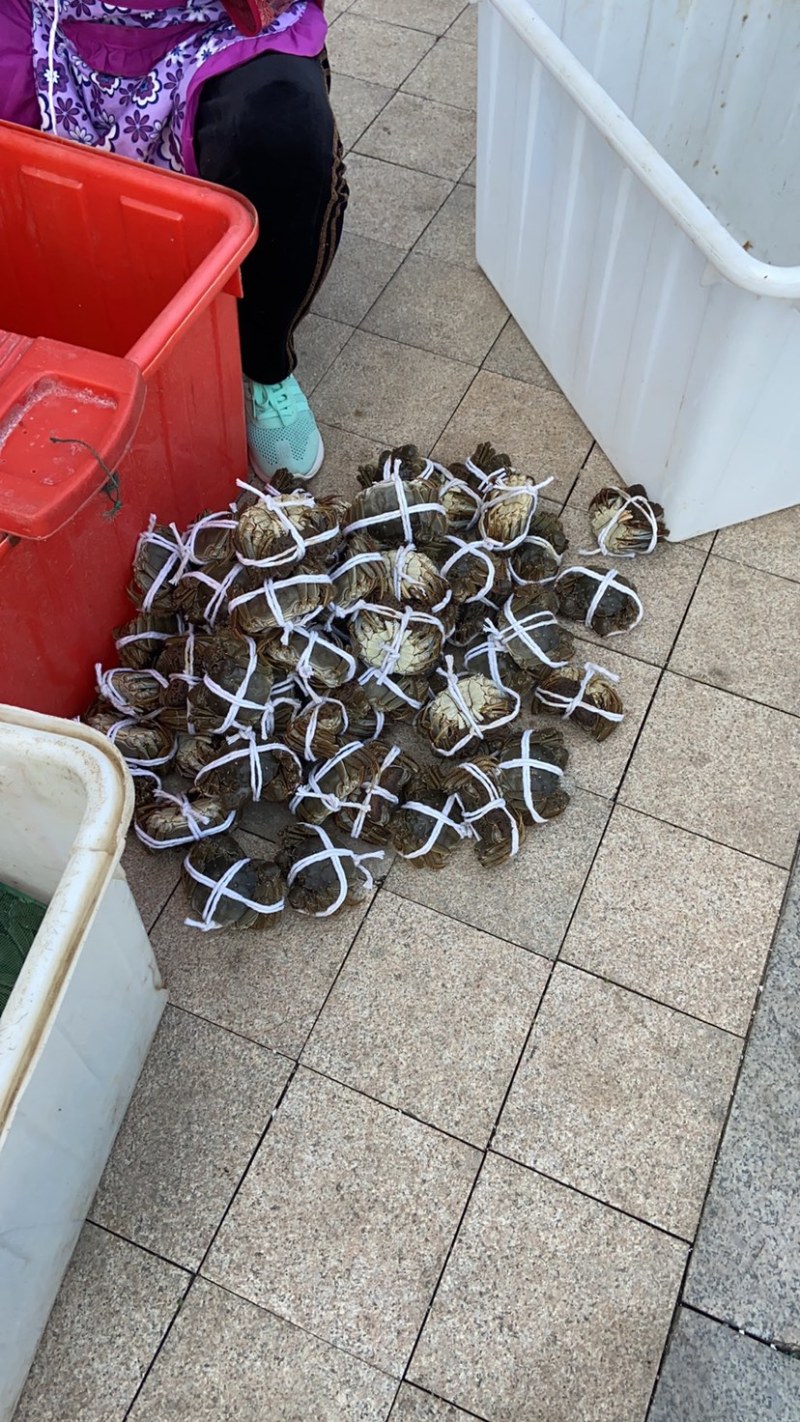 大闸蟹