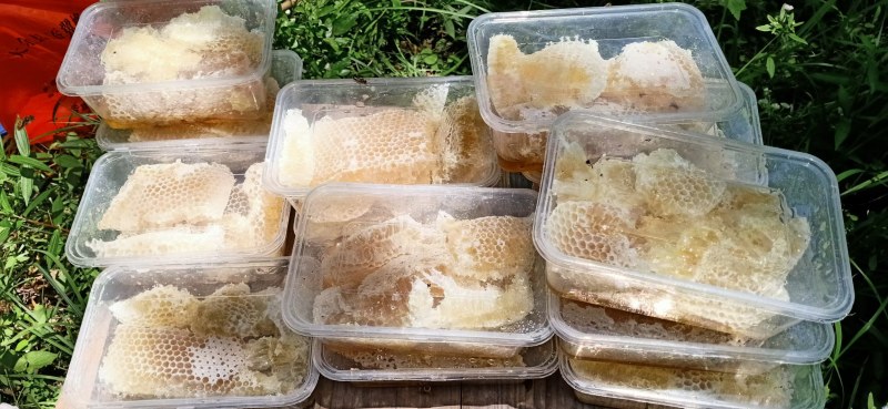 中蜂蜂蜜，纯中蜂百花蜜，