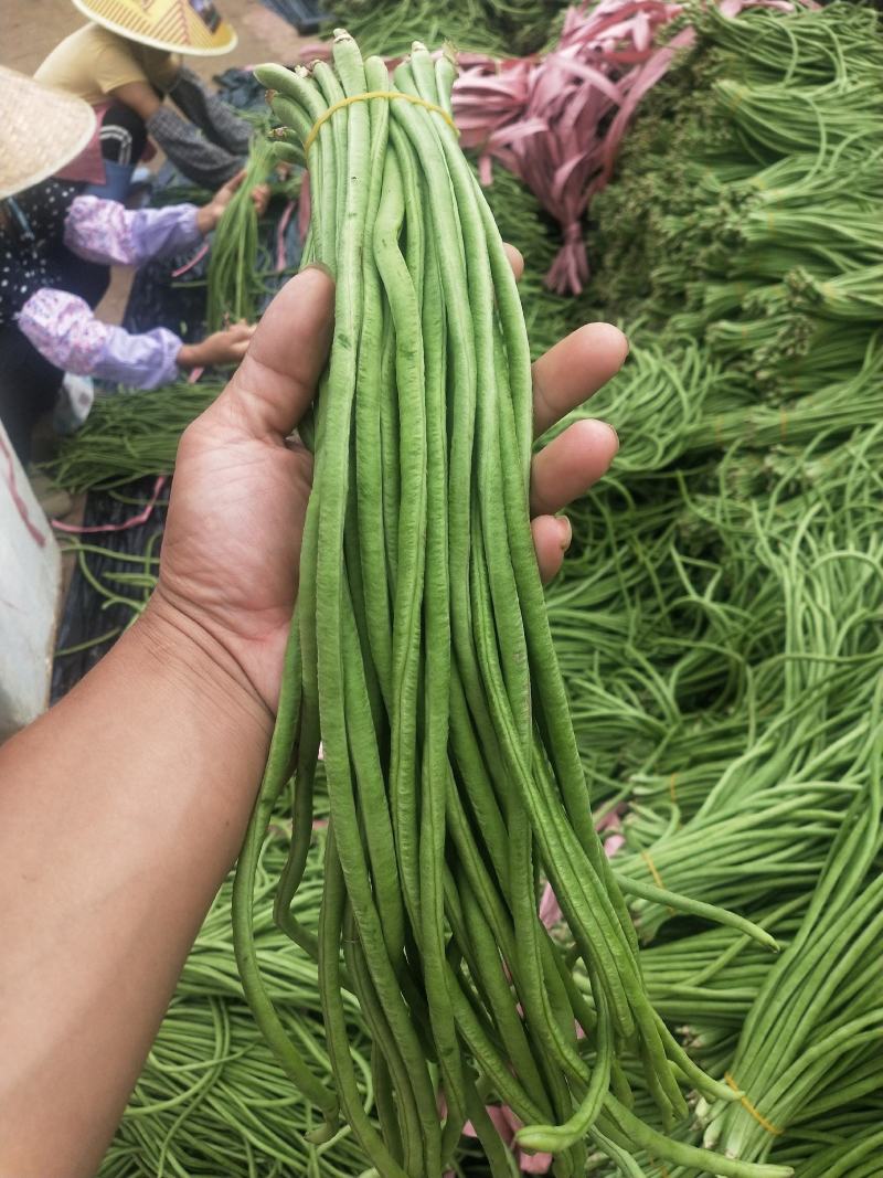 贵州精品铁豇豆