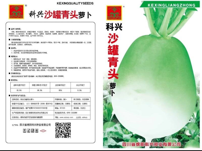 沙罐青头萝卜种子青萝卜种子早熟较耐寒秋冬栽培蔬菜籽