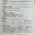 沙罐青头萝卜种子青萝卜种子早熟较耐寒秋冬栽培蔬菜籽