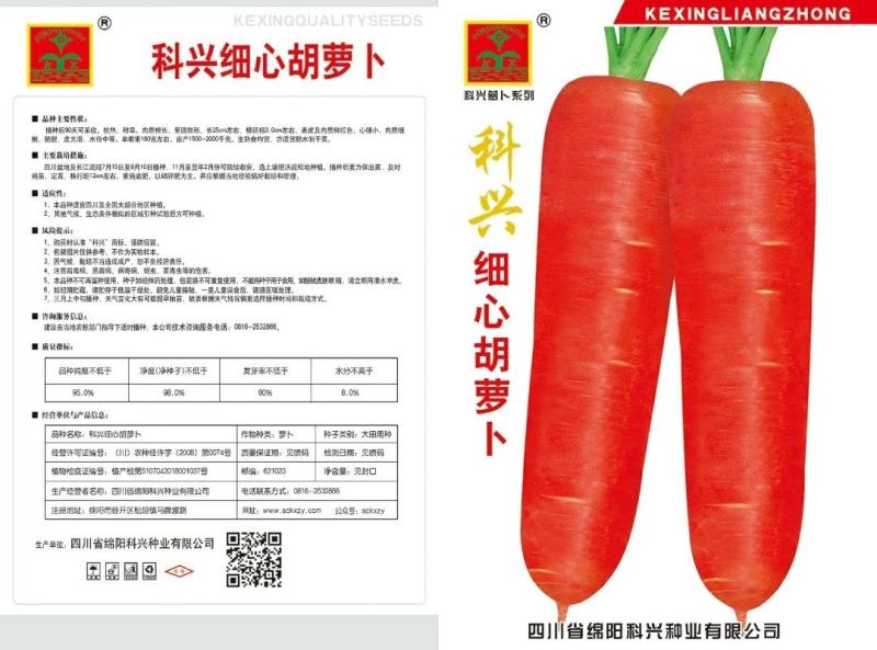 细心胡萝卜种子本地红胡萝卜种籽四川夏秋季农家田园蔬菜种孑