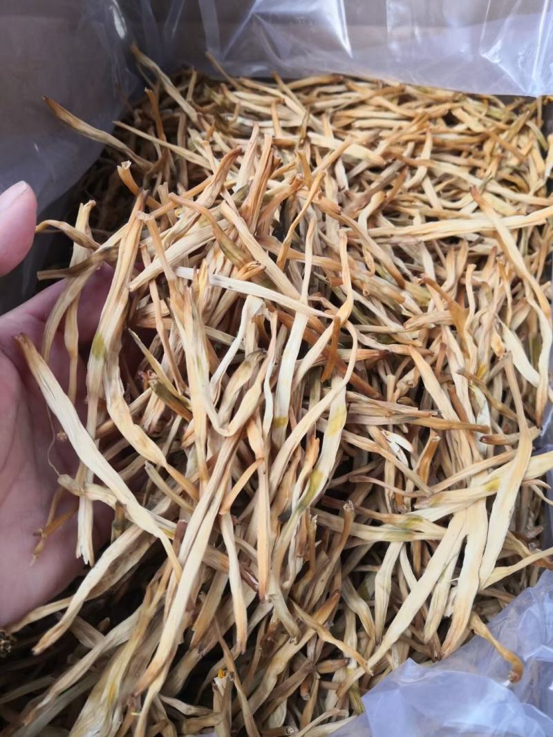 黄花菜大荔黄花菜干度好，均匀色度匀称