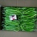 高山辣椒精品二荆条，产自于湖北恩施利川，也称之为富硒辣椒
