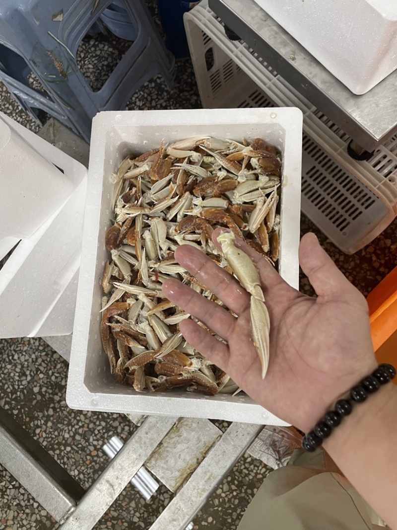 扁蟹中号脚有量