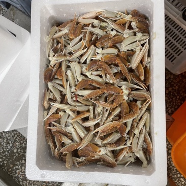 扁蟹中号脚有量
