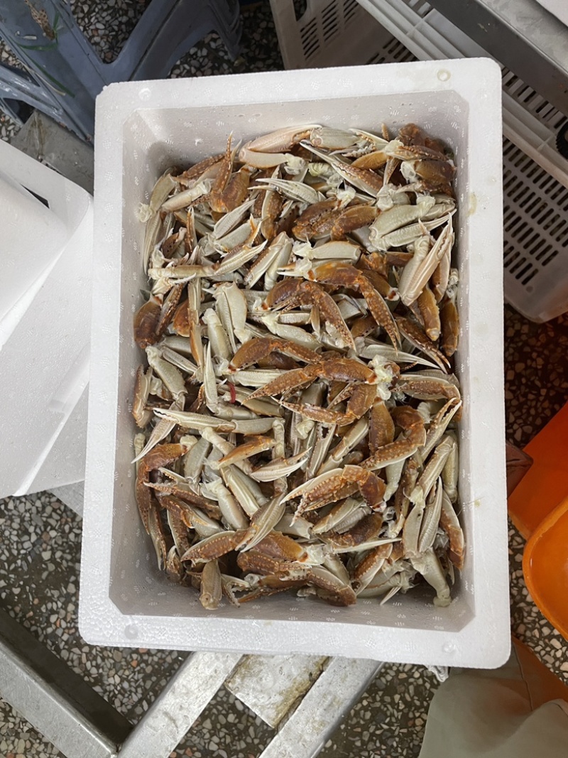 扁蟹中号脚有量