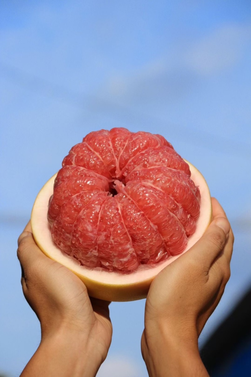 海南红心♥️蜜柚。肉质饱满多汁，甜度刚刚好。来吧！