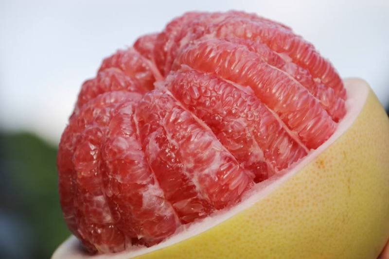 海南红心♥️蜜柚。肉质饱满多汁，甜度刚刚好。来吧！