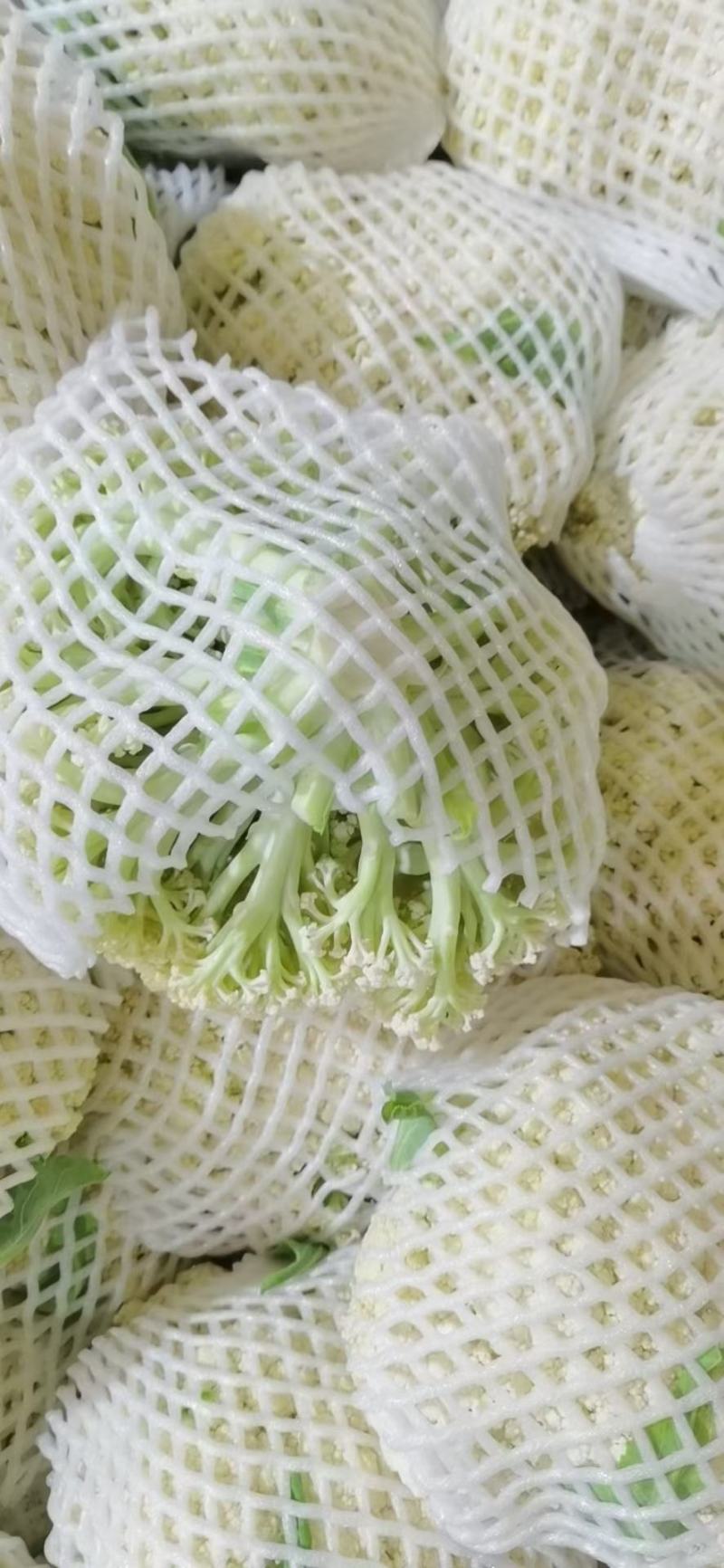 有机花