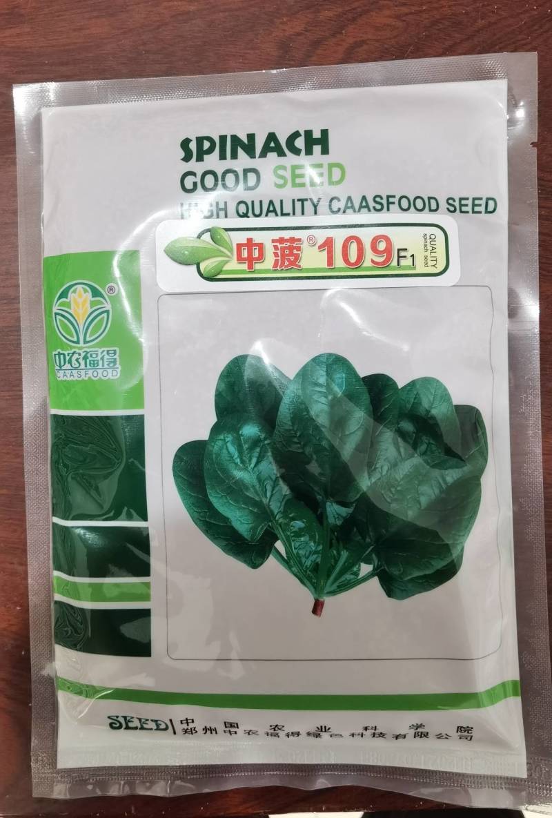 中菠109菠菜种子，耐热耐寒耐抽苔