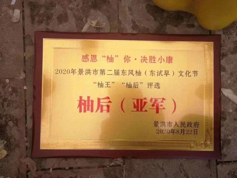 西双版纳东试早柚(傣柚)