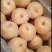 酥梨150~200g筐装，电商，快递，欢迎各大客商