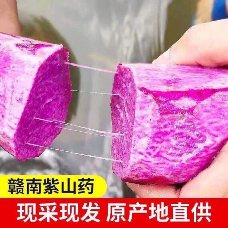 赣南紫山药新鲜现挖紫大薯脚板薯农家蔬菜正宗铁棍怀山紫玉淮