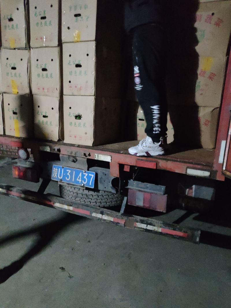 甘肃线椒鲜辣椒甘肃种植基地物鲜辣椒质美价廉保质保量