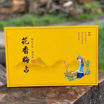 花香梅占桐木关金骏眉红茶礼品茶花果香耐泡250g茶叶
