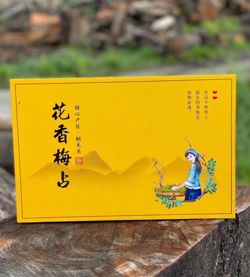 花香梅占桐木关金骏眉红茶礼品茶花果香耐泡250g茶叶