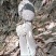 广宁泥塑菌(灰菌、松菌)新鲜当天的当季时鲜
