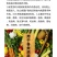 巴斯夫百泰吡唑代森联百泰