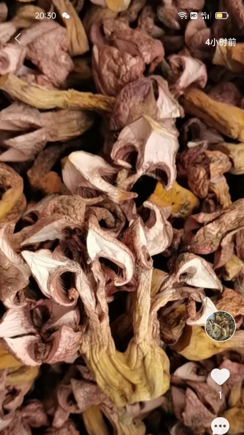 承德产区松树散（肉磨）串，片，烤干片产地直发，物流，快递