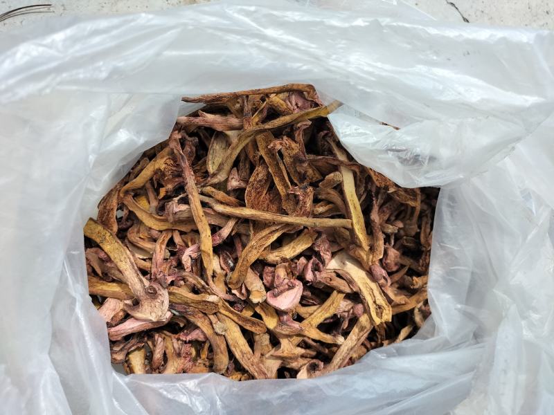 承德产区松树散（肉磨）串，片，烤干片产地直发，物流，快递