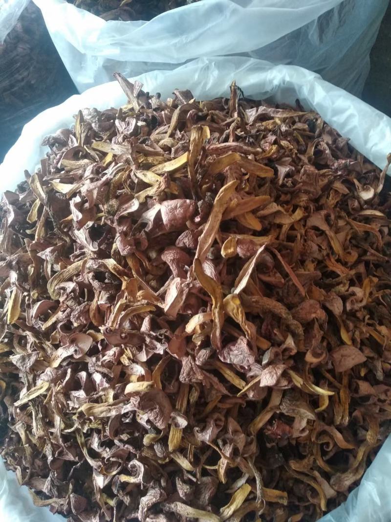 承德产区松树散（肉磨）串，片，烤干片产地直发，物流，快递
