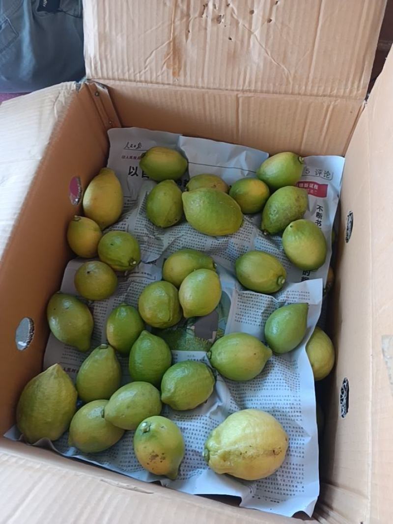 广东香水柠檬二级果