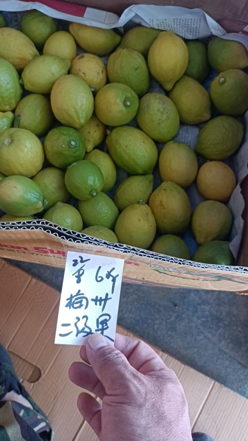 广东香水柠檬二级果