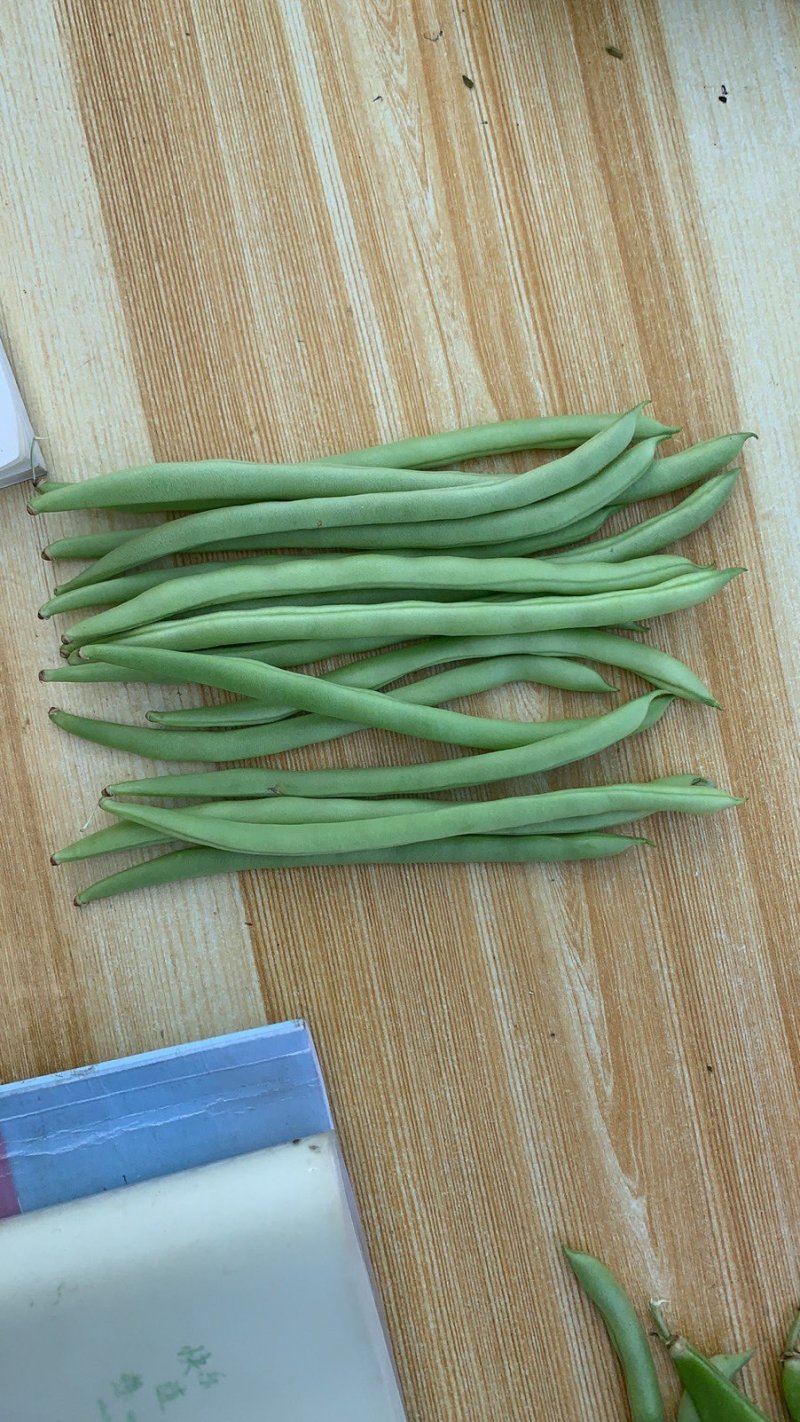 大棚一级豆角