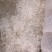 拉丝雪燕小龙须雪燕拉丝好少杂质产地直销