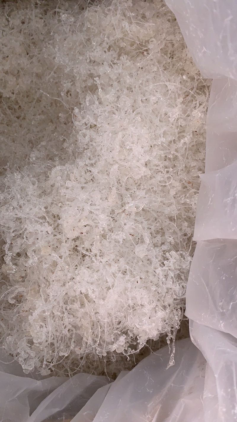 拉丝雪燕小龙须雪燕拉丝好少杂质产地直销