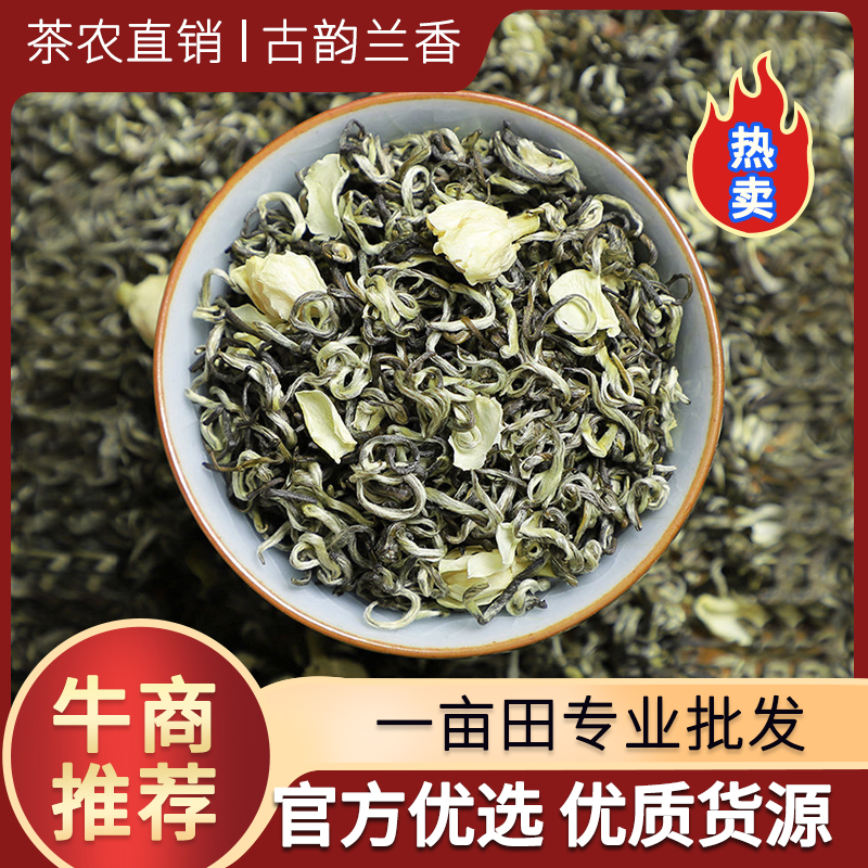 新茶茉莉花茶叶特级浓香型新茶茉莉花茶绿茶