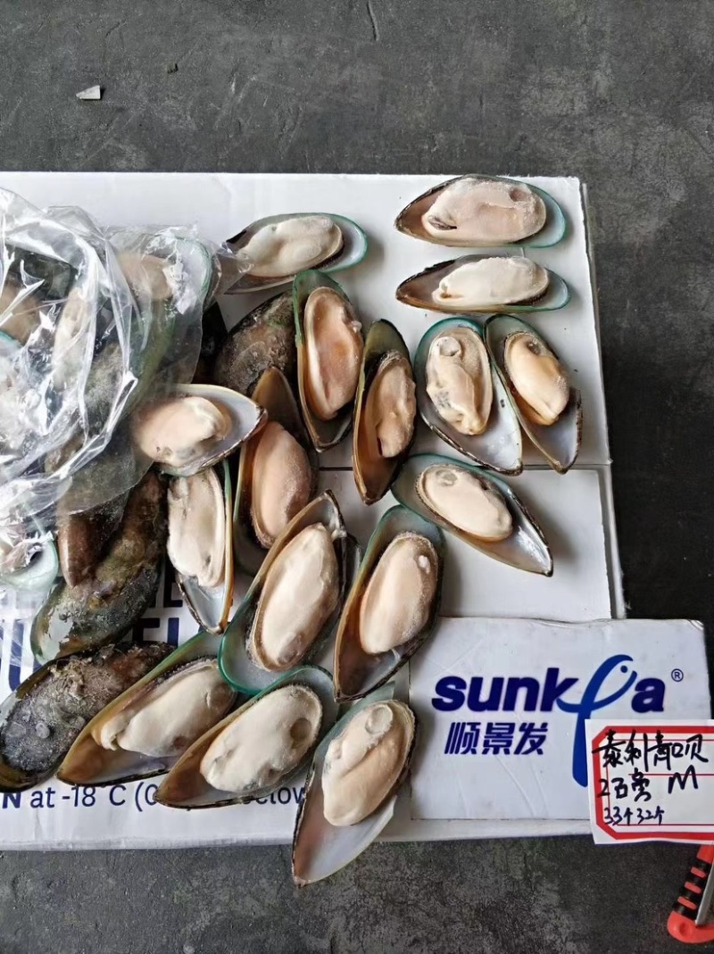 新西兰青口贝/高端品质欢迎洽谈合作