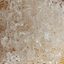 拉丝雪燕小龙须雪燕拉丝好少杂质产地直销