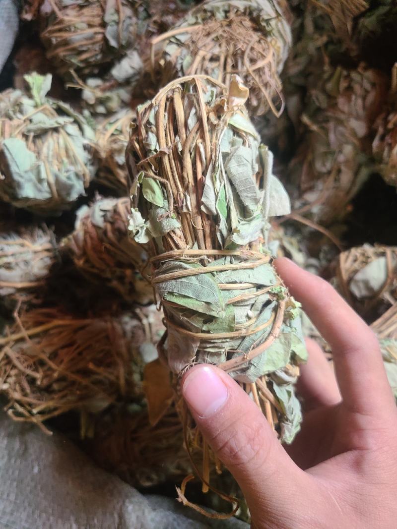 金钱草今年新货小扎无硫货颜色好干度好