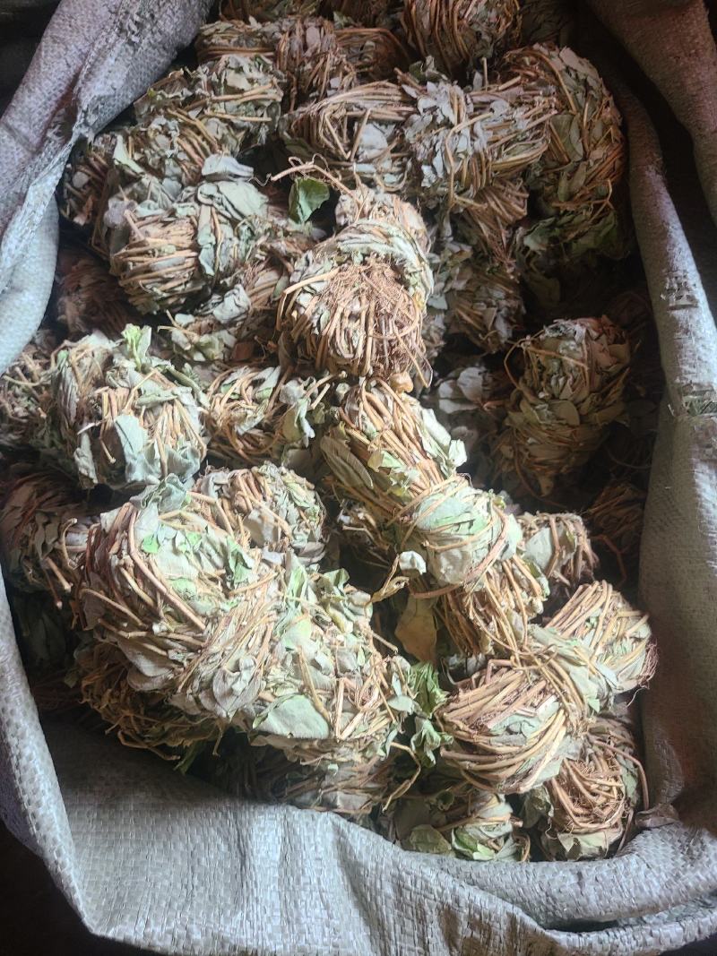 金钱草今年新货小扎无硫货颜色好干度好