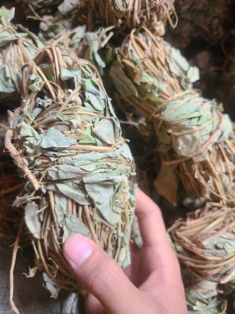 金钱草今年新货小扎无硫货颜色好干度好