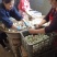 金润蛋品