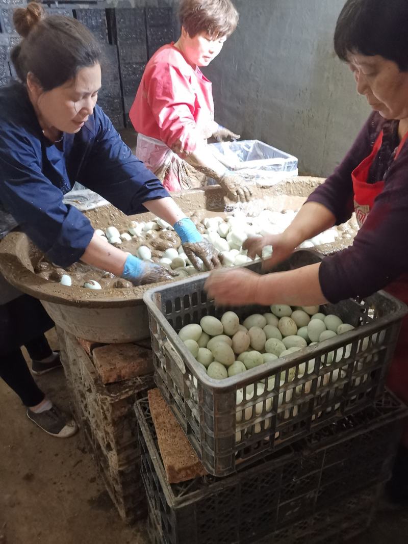 金润蛋品