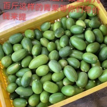 香水柠檬一一有想法可以聊聊