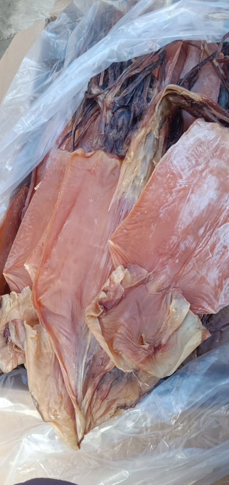 鱿鱼干，淡干产地直发盐干淡干不包运费