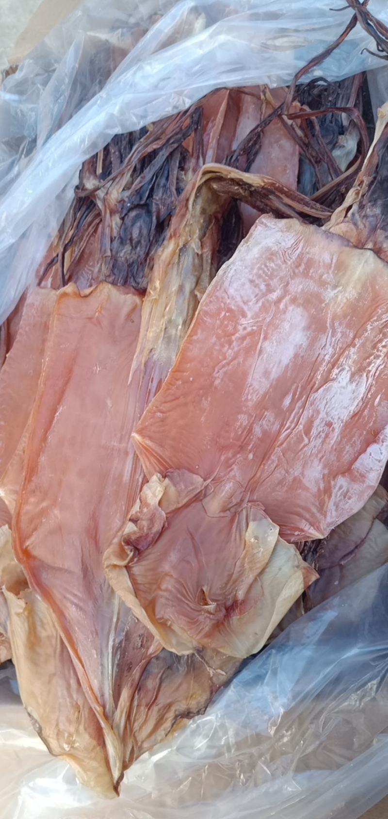 鱿鱼干，淡干产地直发盐干淡干不包运费