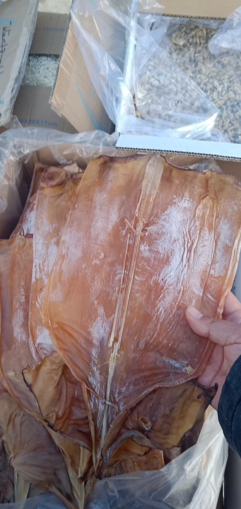 鱿鱼干，淡干产地直发盐干淡干不包运费