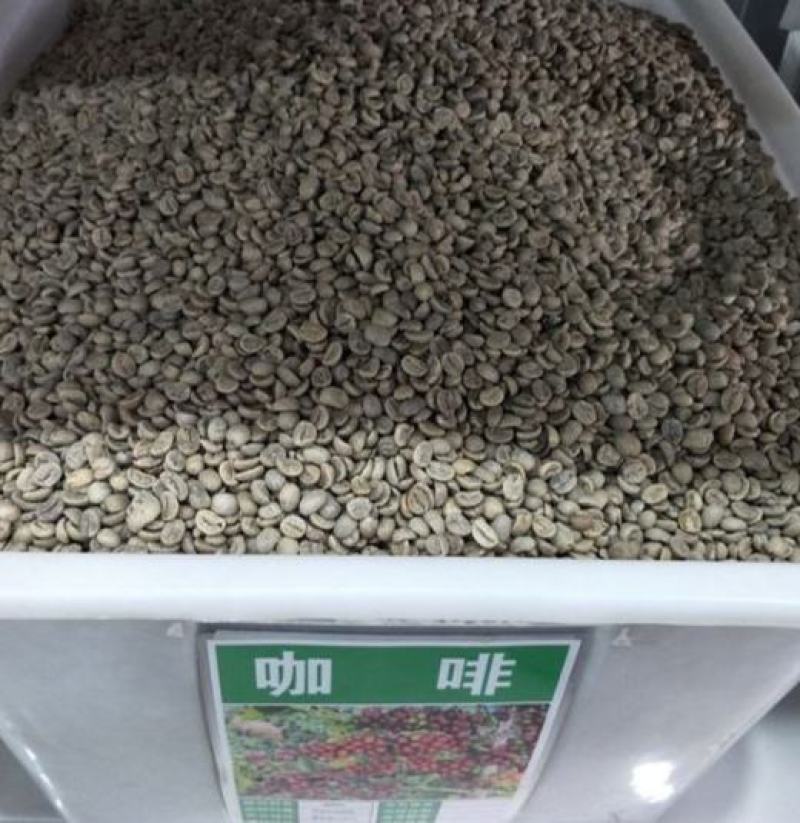 咖啡豆种子优质咖啡豆种子阳台庭院种植咖啡树种子咖啡树