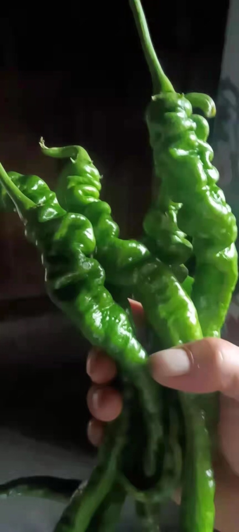 高山精品螺丝
