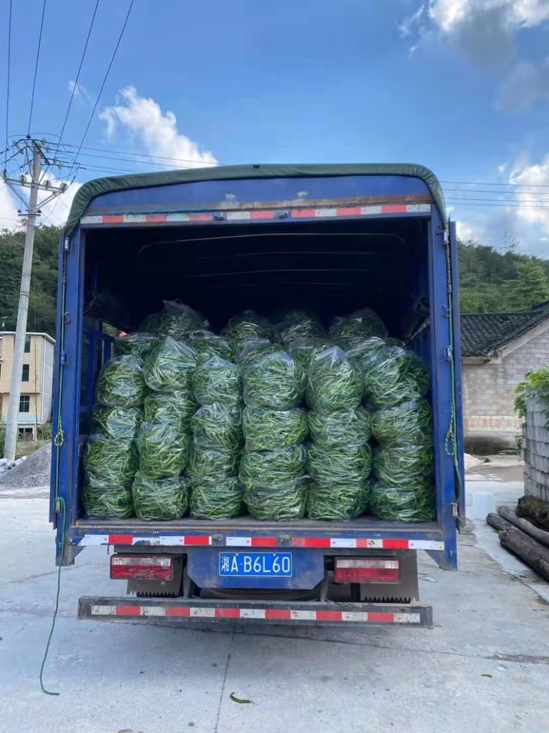 高山精品螺丝